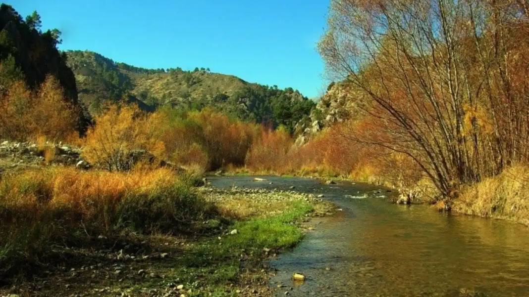 Asırlık Çınarların Altında Masal Diyarı: Adana'da 'Zamanın Durduğu Yer' 4
